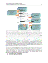 Electricity Infrastructures in the Global Marketplace