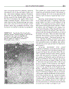 Fundamentals of Soil Science 8th Edition