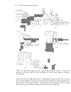 Rock Slope Stability Analysis by Gian Paolo Giani