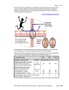 Guide for Sound Insulation in Wood Frame Construction