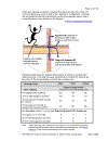 Guide for Sound Insulation in Wood Frame Construction