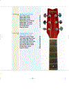 Maran Illustrated Guitar