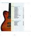 Maran Illustrated Guitar