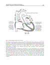 Cardiac Pacemakers Biological Aspects