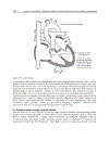 Cardiac Pacemakers Biological Aspects