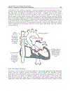 Cardiac Pacemakers Biological Aspects