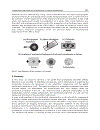 Biomedical Engineering From Theory to Applications