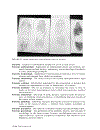 Forensic Science An Illustrated Dictionary