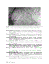 Forensic Science An Illustrated Dictionary