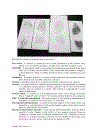 Forensic Science An Illustrated Dictionary