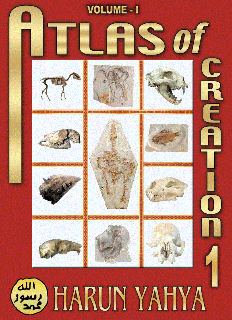 Atlas Of Creation Volume 1