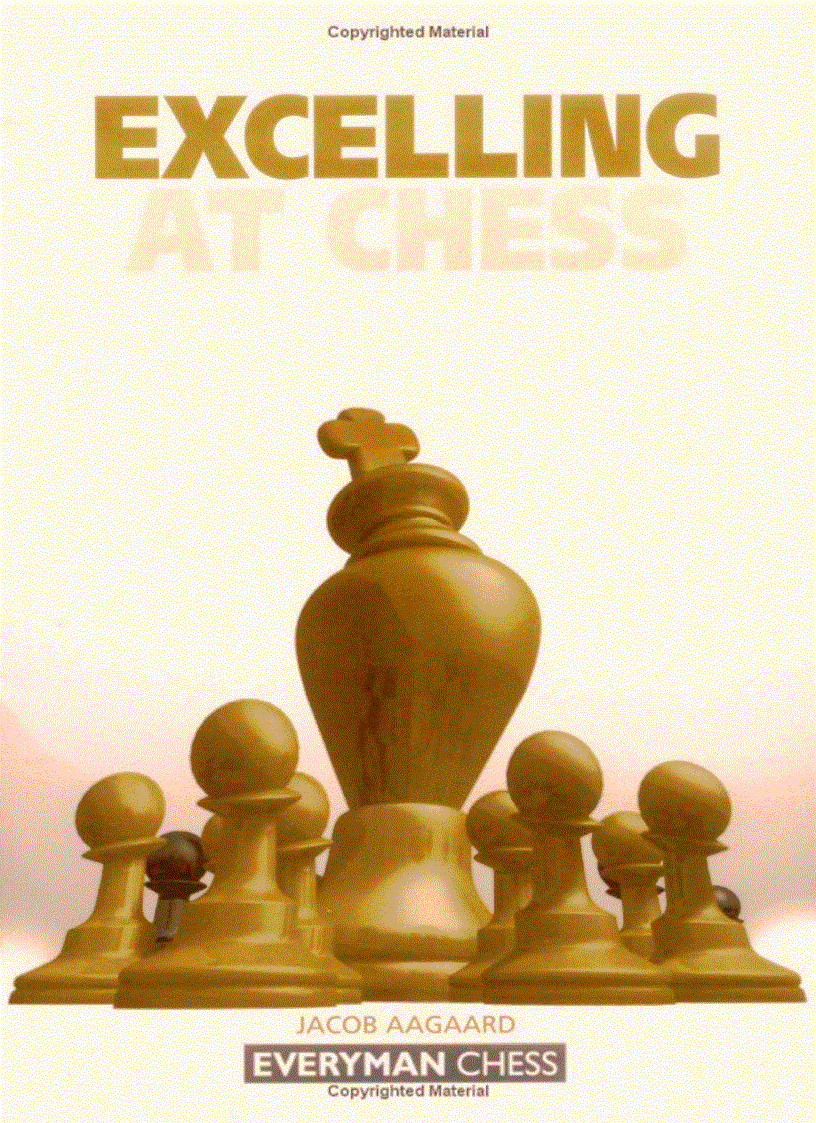 Excelling at Chess Everyman Chess