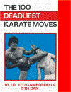 The 100 Deadliest Karate Moves