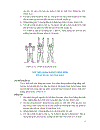 Luyện Công 18 Pháp