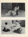 Traditional Aikido Vol 4 Morihiro Saito