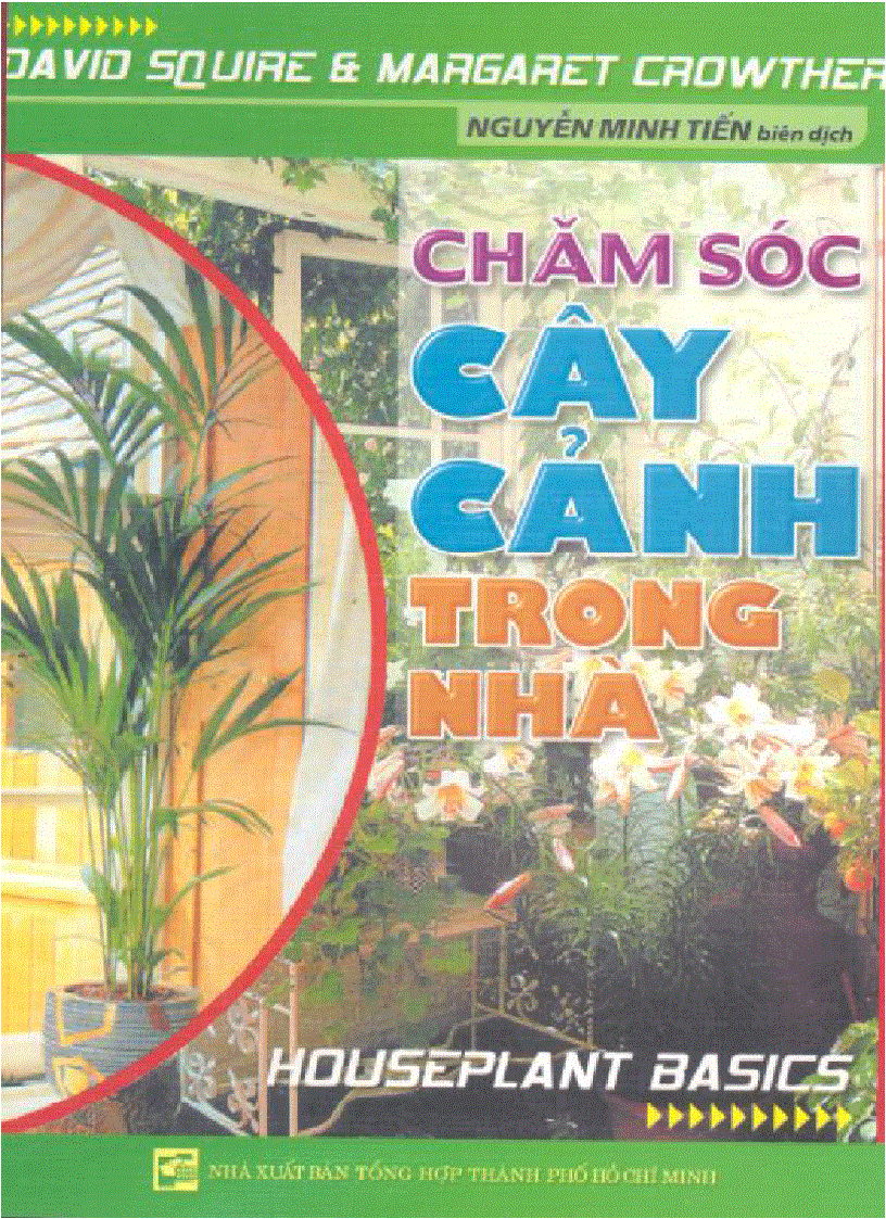 Chăm sóc cây cảnh trong nhà