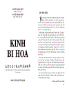 Kinh Bi Hoa