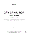 Cây cảnh hoa ở Việt Nam