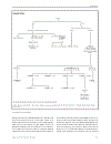 Encyclopedia of Islam the Muslim World