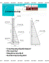 Ứng dụng CN bêtông đầm lăn trong XD đập bêtông trọng lực ở VN