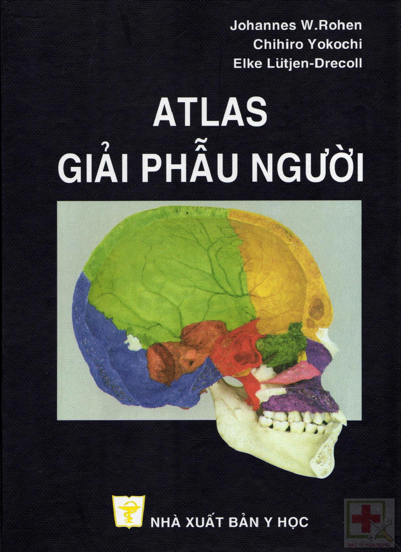 Atlas Giải Phẫu Người