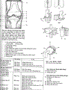 Atlas Giải Phẫu Người