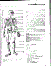 Atlas Giải Phẫu Người