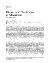 Adenoviruses Basic Biology to Gene Therapy