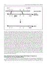 Adenoviruses Basic Biology to Gene Therapy