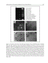 Adenoviruses Basic Biology to Gene Therapy