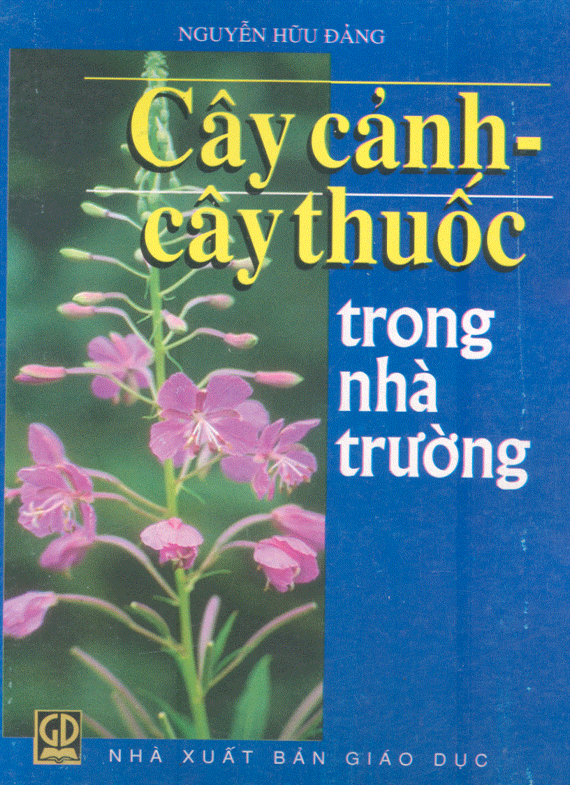 Cây cảnh