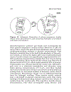 Polymeric Drug Delivery Systems Drugs and the Pharmaceutical Sciences