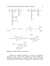 Polymeric Drug Delivery Systems Drugs and the Pharmaceutical Sciences