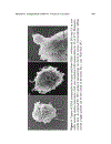 Polymeric Drug Delivery Systems Drugs and the Pharmaceutical Sciences