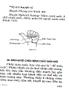 Bấm huyệt chữa bệnh