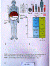 Atlas Sinh Lý Học