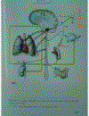 Atlas Sinh Lý Học