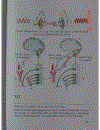 Atlas Sinh Lý Học