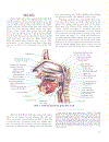 Atlas giải phẫu người 1