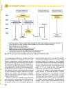 Clinical Pharmacology