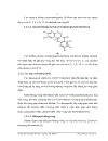 Theo dõi hàm lượng hoạt chất diterpenoit trong cây Khổ sâm cho lá Croton tonkinensis