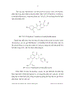 Nghiên cứu thành phần hoá học có trong cây hàn the desmodium heterophyllum họ cánh bướm papilionaceac