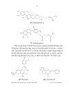 Nghiên cứu thành phần hoá học có trong cây hàn the desmodium heterophyllum họ cánh bướm papilionaceac