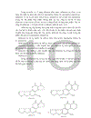 Thử nghiệm quy trình phân tích Aflatoxin B1 B2 G1 G2 theo TCVN 7596 2007 ISO 16050 2003 trên thiết bị sắc khí lỏng hiệu năng cao HPLC tại Viện Khoa Học Sự Sống