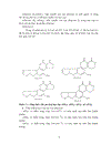 Thử nghiệm quy trình phân tích Aflatoxin B1 B2 G1 G2 theo TCVN 7596 2007 ISO 16050 2003 trên thiết bị sắc khí lỏng hiệu năng cao HPLC tại Viện Khoa Học Sự Sống