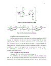 Nghiên cứu thử nghiệm quy trình thu nhận chế phẩm giàu β glucan và oligoglucosamin