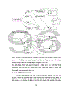 sử dụng phương pháp Graph trong dạy học phần sinh thái học THPT 1