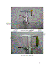 Động thái một số chỉ tiêu sinh li hóa sinh theo tiến trình phát triển của quả dưa chuột Cucumis sativus L tại Sóc Sơn Hà Nội 1