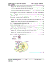 Thử nghiệm chuyển gen GFP trên gà Gallus Gallus Domesticus sử dụng vector pT2 BH CVpf SB11 bằng phương pháp chuyển gen qua tinh trùng và vi tiêm vào phôi gà 0 giờ ấp 1