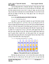 Thử nghiệm chuyển gen GFP trên gà Gallus Gallus Domesticus sử dụng vector pT2 BH CVpf SB11 bằng phương pháp chuyển gen qua tinh trùng và vi tiêm vào phôi gà 0 giờ ấp 1